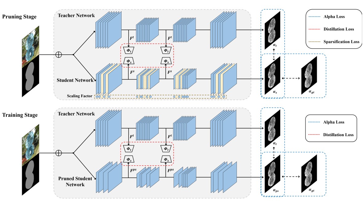 Lightweight Alpha Matting Network Using Distillation-Based Channel Pruning